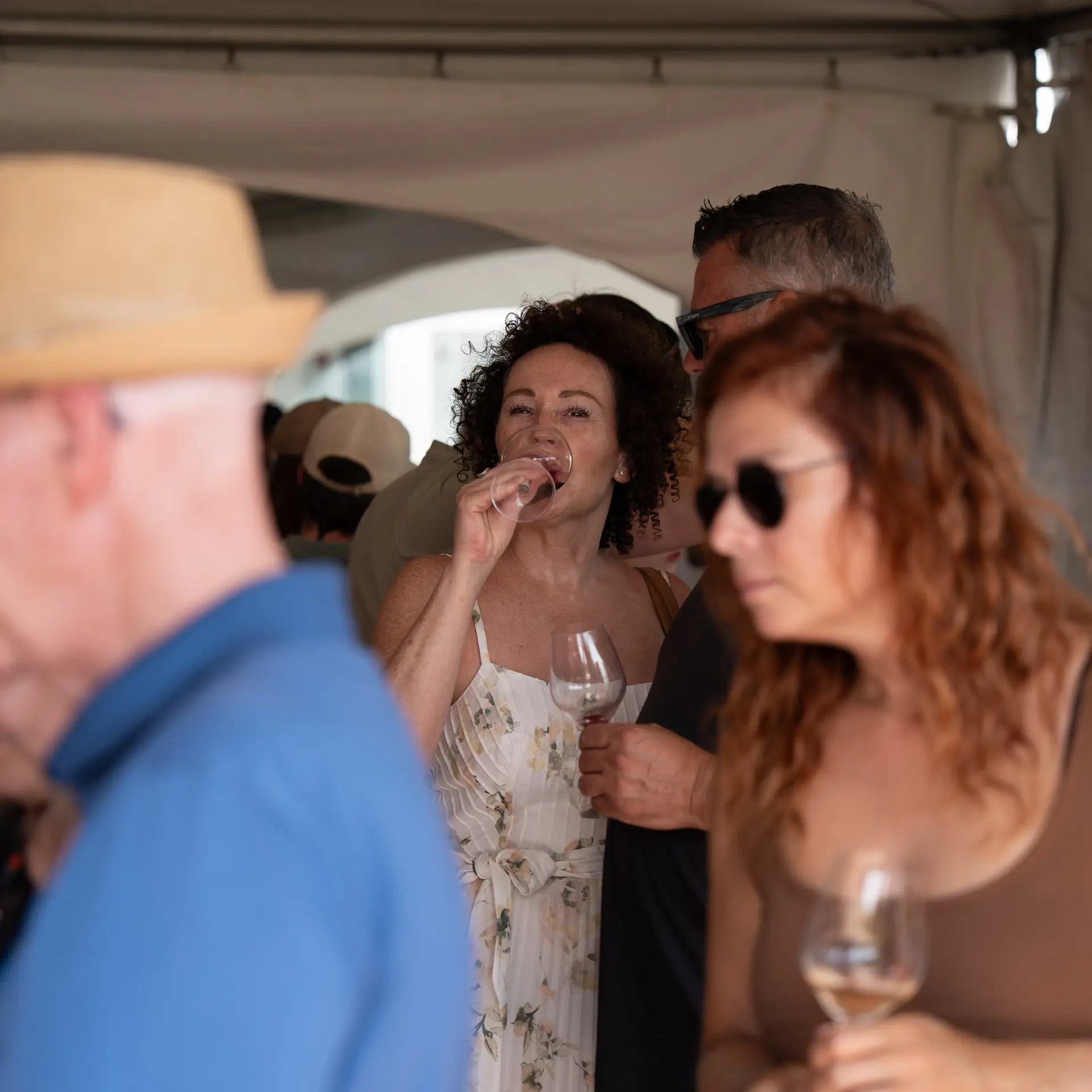 Projet Festival Des Vins, image 1 sur 24