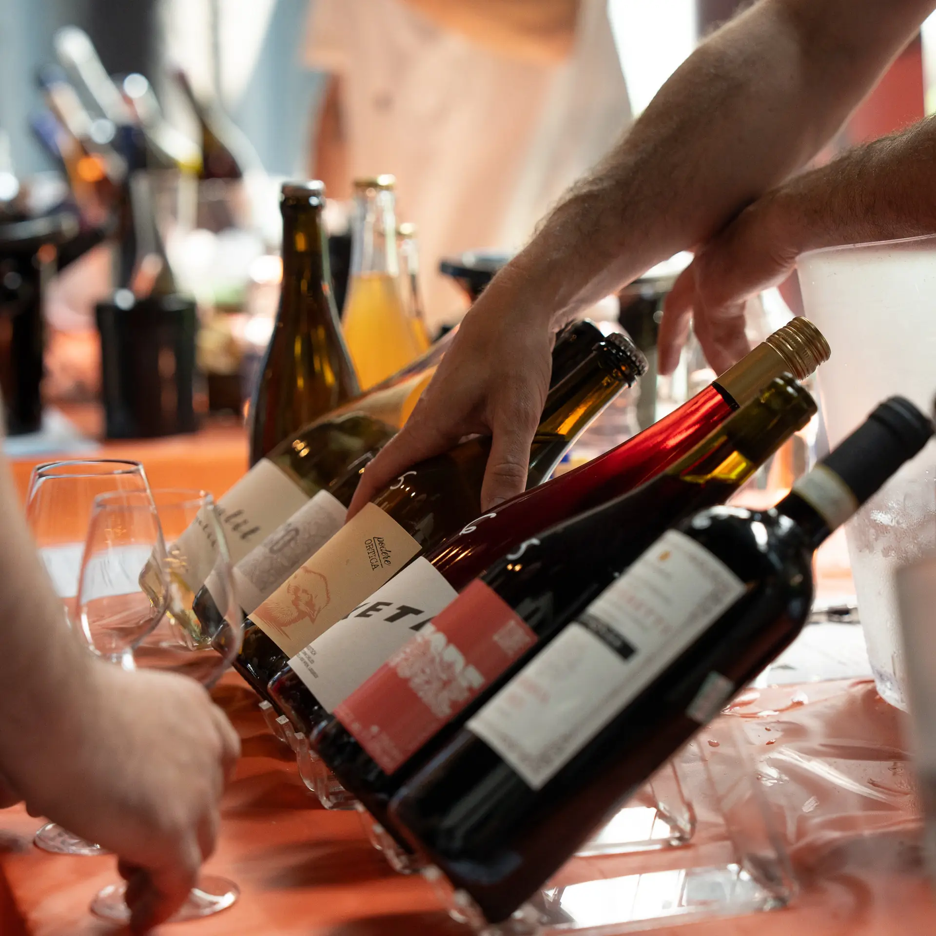Projet Festival Des Vins