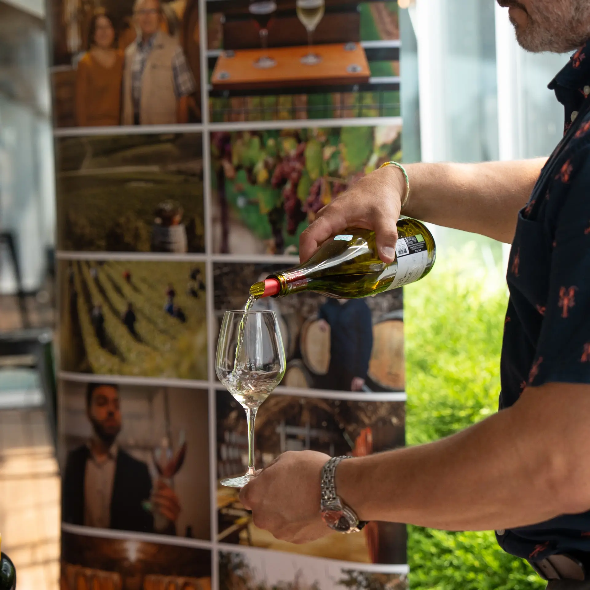 Projet Festival Des Vins, image 21 sur 24