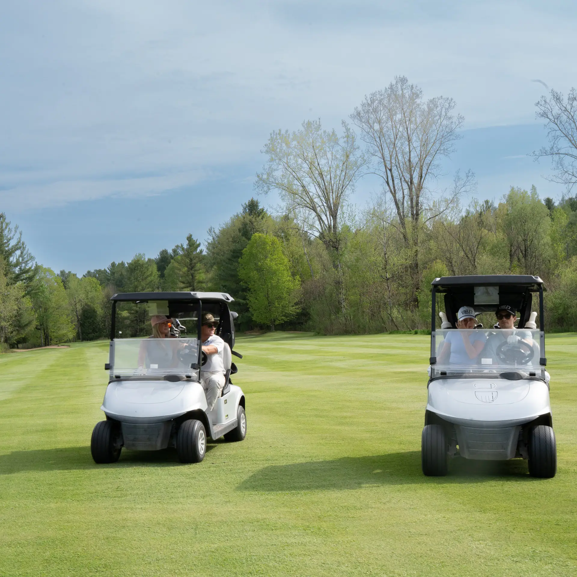 Projet Eagle's Golf, image 6 sur 19