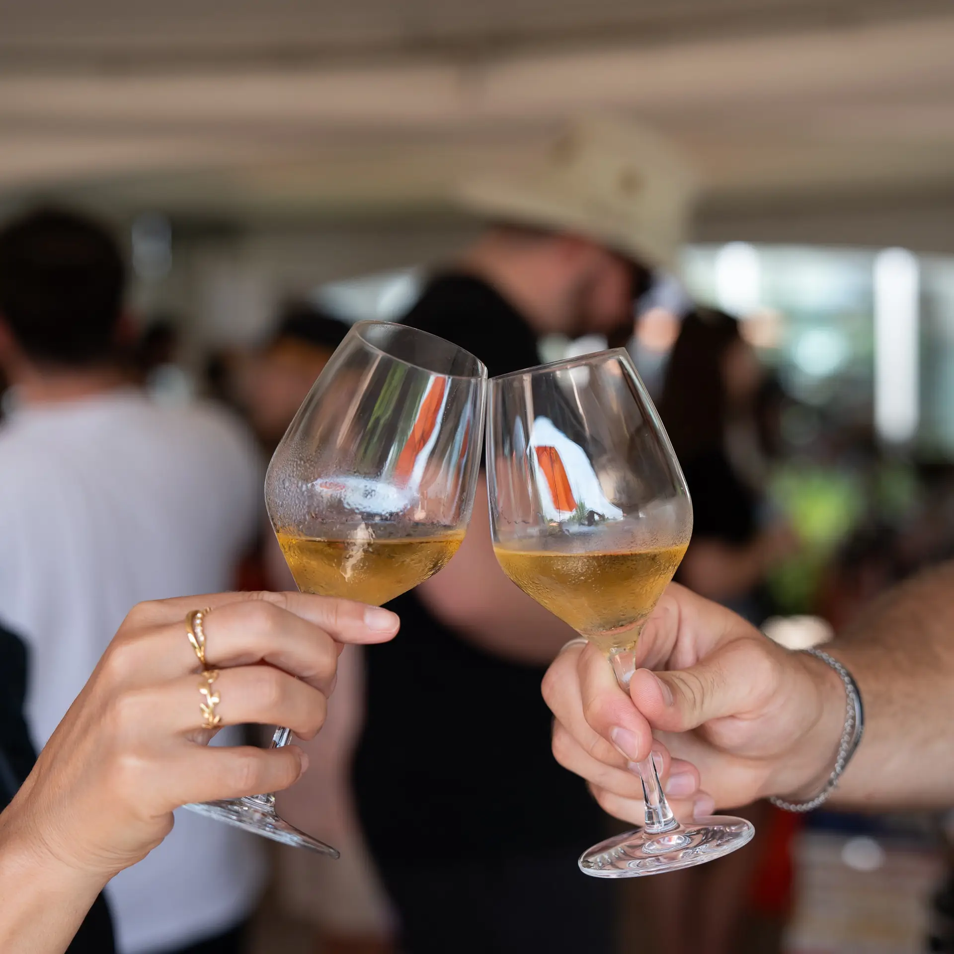 Projet Festival Des Vins, image 23 sur 24