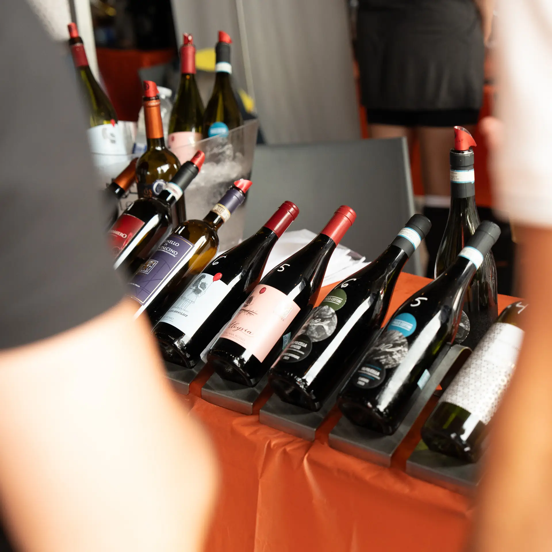 Projet Festival Des Vins, image 11 sur 24